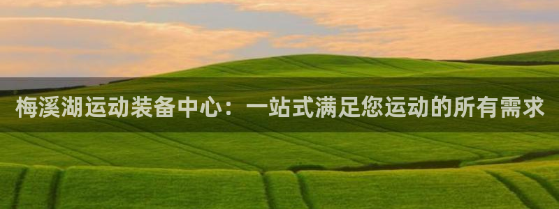 九游体育官方正版app集团:梅溪湖运动装备中心:一站式满足您