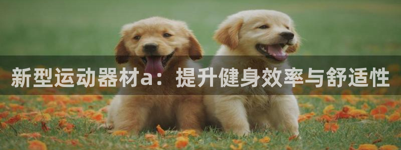 海南九游体育官网下载发展怎么样:新型运动器材a:提升健身效率